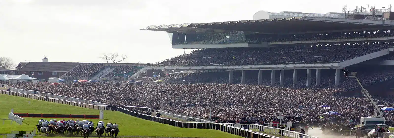 festival de Cheltenham