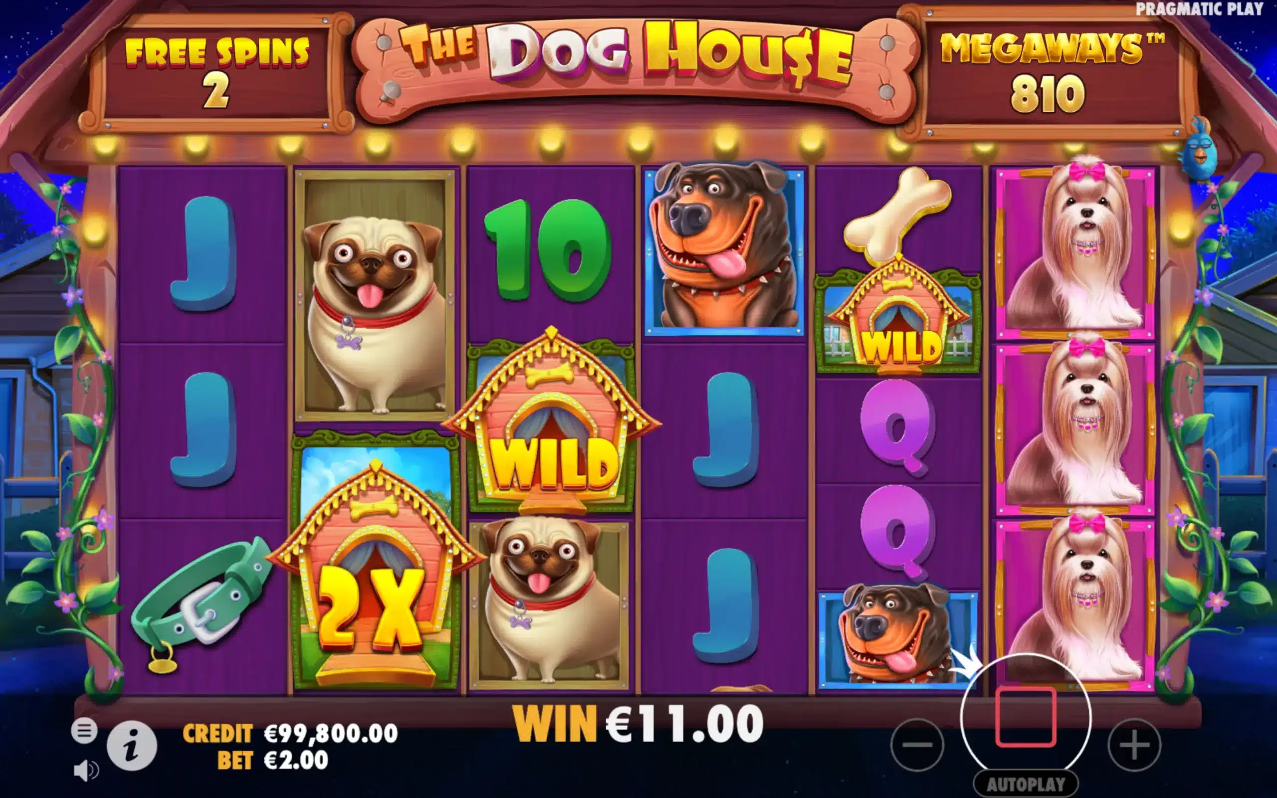 The Dog House Megaways bonus