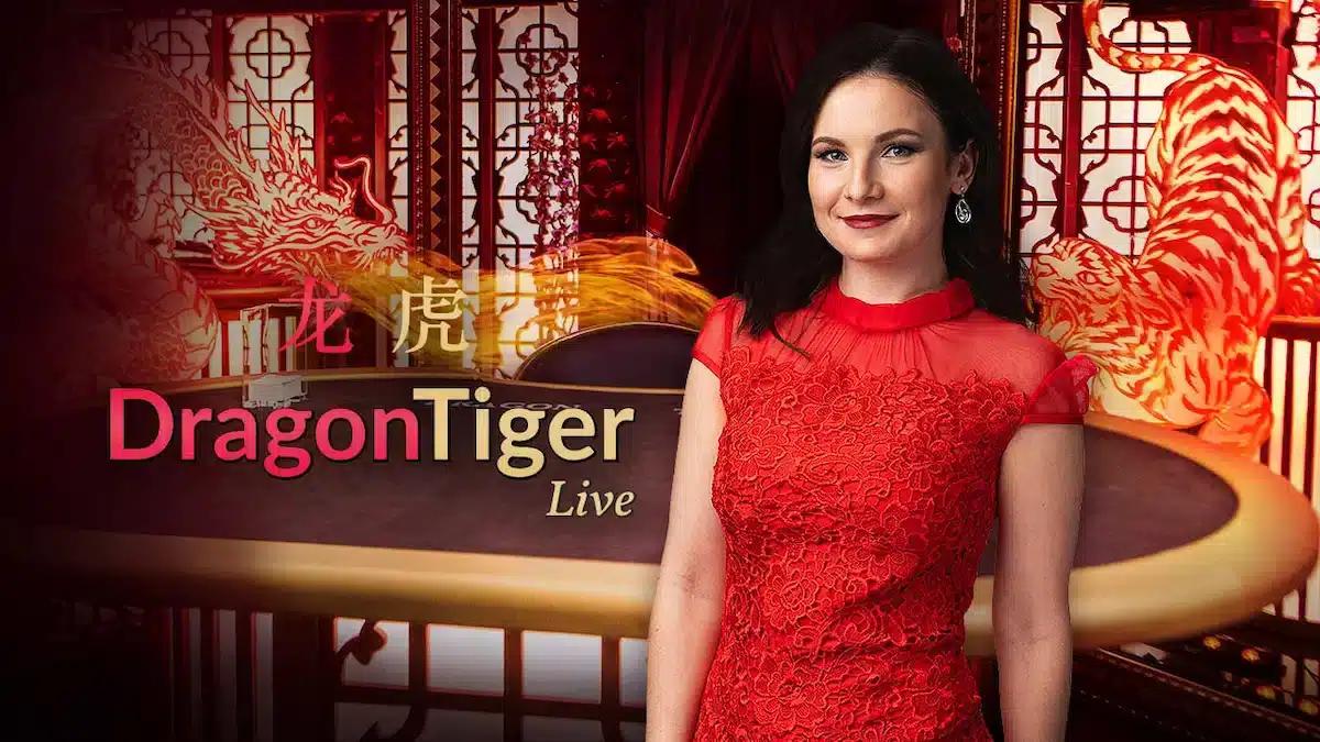 dragon tiger