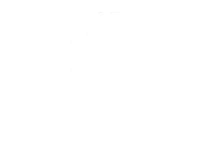 shiny wilds logotype white