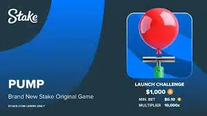 image pump stake