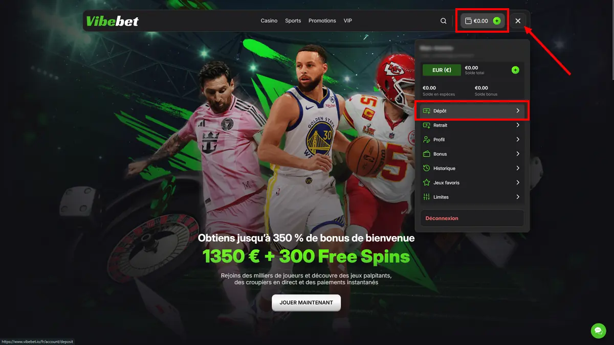 accès aux dépôts sur vibebet