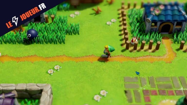 Zelda Switch 2 gameplay forêt -montage