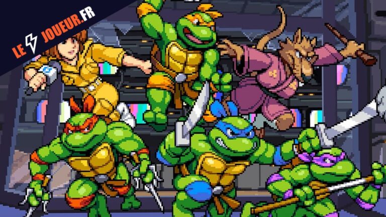 Teenage Mutant Ninja Turtles combat -logo