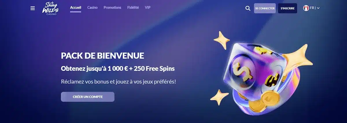page d'accueil shiny wilds