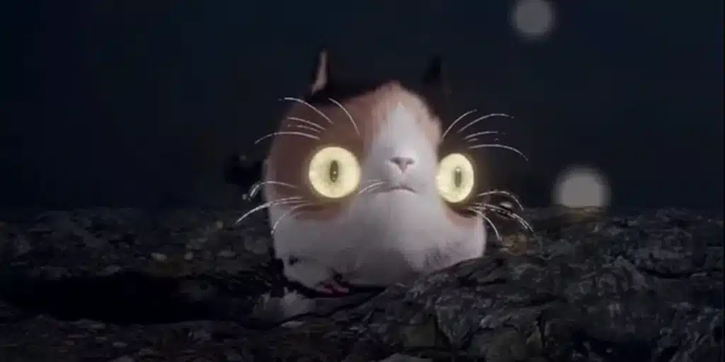 Scampuss