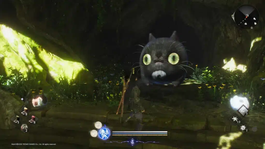 capturer Scampuss