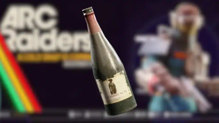 Bouteille de vin vide
