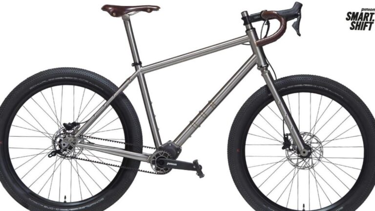 Boite de vitesses Pinion C1.9 montee sur un velo electrique urbain haut de gamme