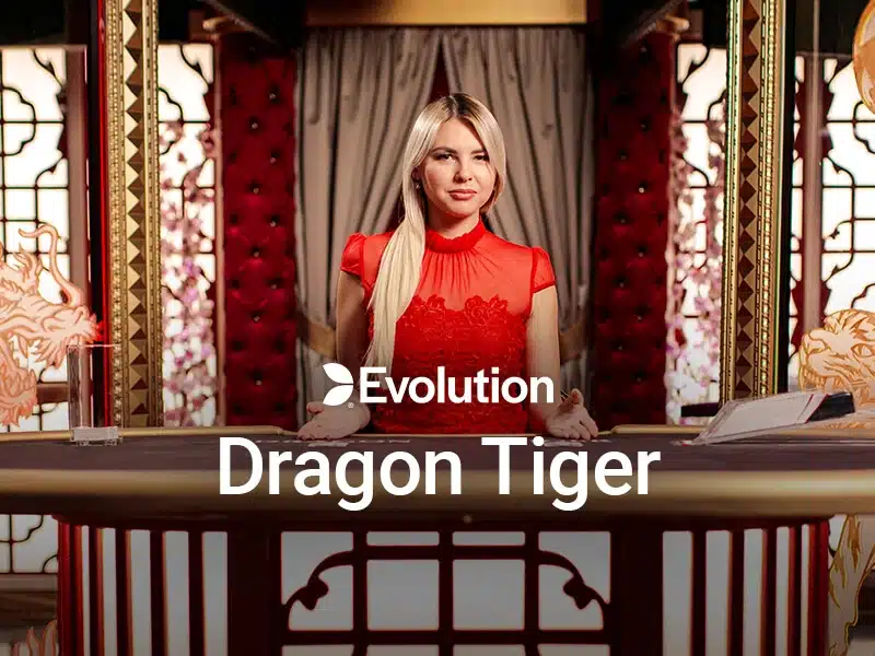dragon tiger