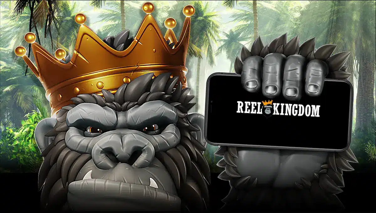Reel kingdom Provider