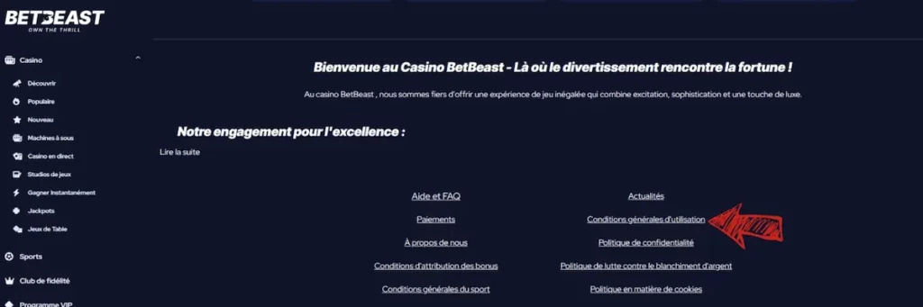 BetBeast casino suisse